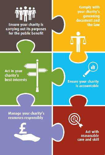charity roles and responsibilities|The essential trustee: what you need to know, what you need to do.